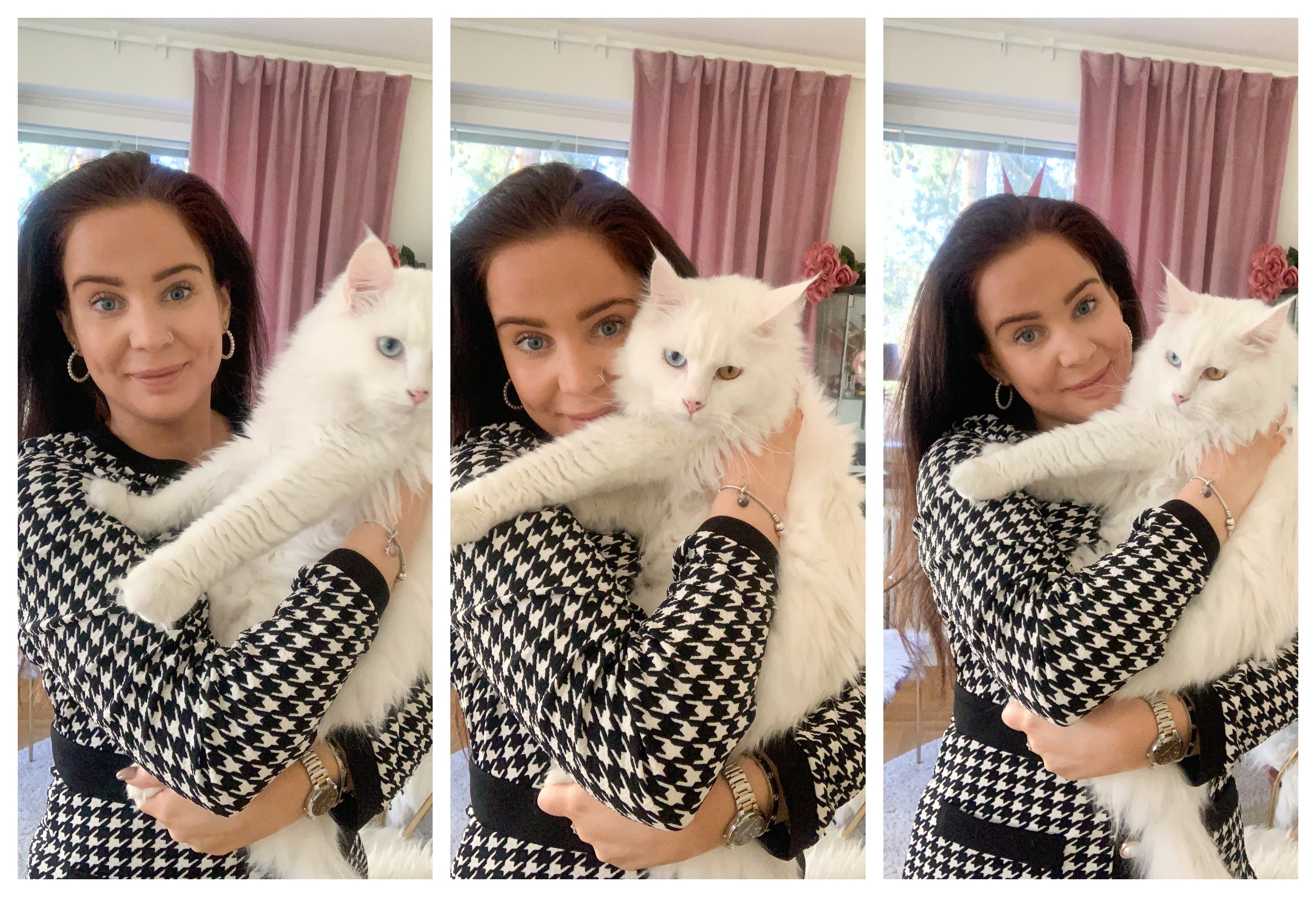 ever clean kattsand kampanj