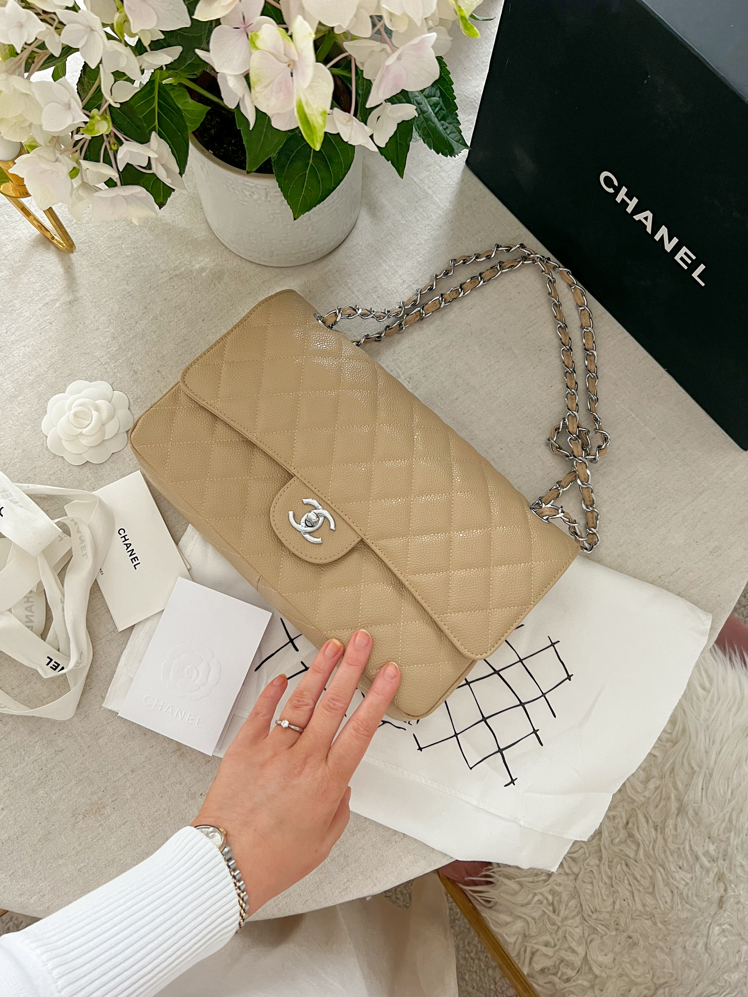 Chanel double flap bag beige