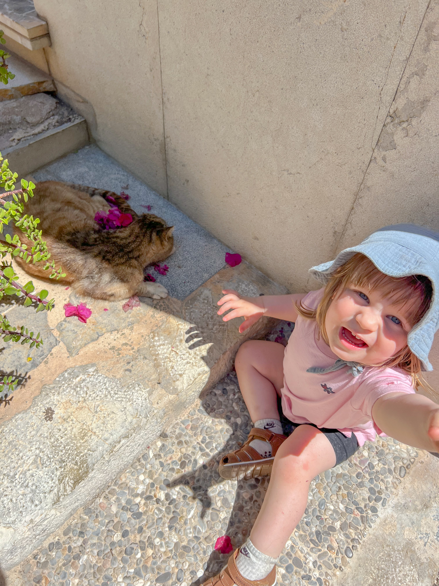 Marknad i Alcudia